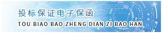 投標(biāo)保證電子保函